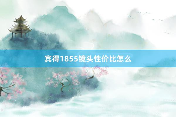 宾得1855镜头性价比怎么